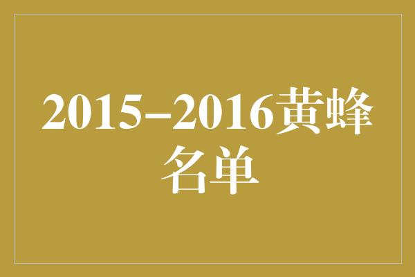  2015-2016黄蜂名单：回顾那年的飞沙走石！